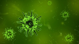 Chiński koronawirus kontra rodzima grypa – czy mamy powody do obaw? Biuro prasowe