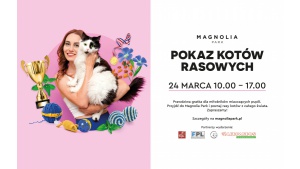 Kocury, kotki i kocięta, czyli pokaz kotów rasowych w Magnolia Park Biuro prasowe