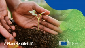 EFSA: Kampania #PlantHealth4Life w tym roku prowadzona będzie także w Polsce!