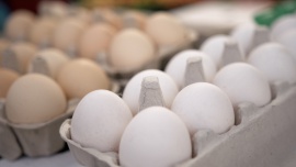 70 proc. Polaków woli kupować jaja z wolnego wybiegu. Na preferencje konsumentów odpowiadają największe firmy z sektora spożywczego, w tym Lubella ​[DEPESZA] Depesze