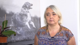 Rośnie liczba bezdomnych zwierząt w Polsce i związane z nimi wydatki. Potrzebne wprowadzenie kontroli środków przeznaczanych na schroniska