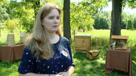 W Polsce z każdą sekundą umiera 105 pszczół. Ekolodzy zachęcają do stwarzania miejsc z pokarmem i schronieniem dla owadów News powiązane z miejsca przyjazne pszczołom