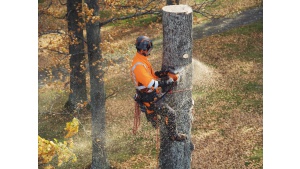 Husqvarna prezentuje przełomowe pilarki łańcuchowe dla profesjonalistów Biuro prasowe