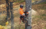 Husqvarna prezentuje przełomowe pilarki łańcuchowe dla profesjonalistów