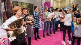 Pokaz Kotów Rasowych powraca do Europy Centralnej