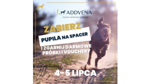 Ultra pupile #testują. Zabierz psa na spacer i odbieraj nagrody. Biuro prasowe