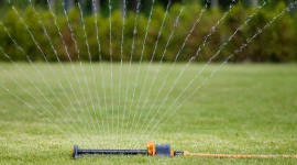 12 sposobów na oszczędzanie wody w ogrodzie Biuro prasowe