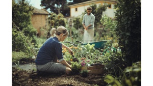 Pomysł na prezent pod choinkę – inspiracje Fiskars