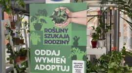 Punkt Wymiany Roślin w CH Focus Biuro prasowe