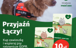 Przyjaźń Łączy-Wspólnie dla Zwierząt - ruszyła kolejna edycja akcji Maxi Zoo