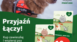 Przyjaźń Łączy-Wspólnie dla Zwierząt - ruszyła kolejna edycja akcji Maxi Zoo