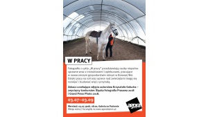 „W pracy” - zobacz nagradzane zdjęcia Krzysztofa Gołucha