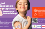 PrzedszkolaBezOwsików.pl – podsumowanie pilotażowej edycji programu edukacyjne