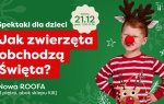 Jak zwierzęta spędzają Święta? Spektakl dla dzieci w Galerii Turzyn