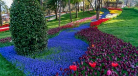 Zachwyć się barwami wiosny w Stambule
