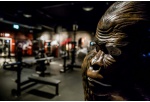 King Kong w klubie fitness?! – McFIT wkracza do Białegostoku!