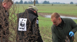 Lidl i WWF odtwarzają krajobraz rolniczy w Polsce