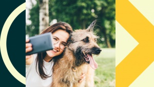 Serwis OLX wprowadza zmiany w kategorii Zwierzęta