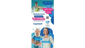 10 stypendiów dla młodych sportowców w ramach akcji „W swoim żywiole”