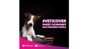 VetiCover – pakiety dla psów i kotów.