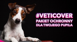 VetiCover – pakiety dla psów i kotów.