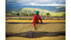 #Stronglikecoffee, czyli Starbucks opowiada o sile kobiet