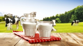 Polscy konsumenci zainteresowani mlekiem A2A2