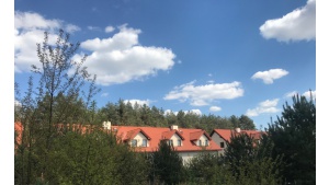 Wymarzony dom pod lasem Biuro prasowe
