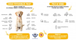 Pedigree rusza z ogólnopolską kampanią „Dla dobra psów” i wspiera schroniska!