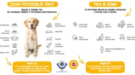 Pedigree rusza z ogólnopolską kampanią „Dla dobra psów” i wspiera schroniska!