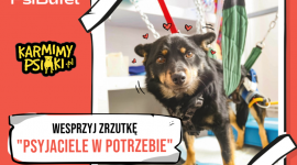 PsiBufet wspólnie z Karmimy Psiaki rusza ze zbiórką “PSYjaciele w potrzebie”.