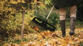 Sprzątamy liście z trawnika – jesienne porządki z Fiskars