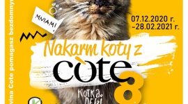 Pomóż Organizacjom wygrać zapas karmy i wejdź do akcji „Nakarm koty Z COTE 8” !!