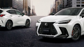 Lexus NX po tuningu TRD