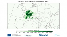 Copernicus: CAMS monitoruje wczesne nadejście wiosny w Europie i intensyfikację