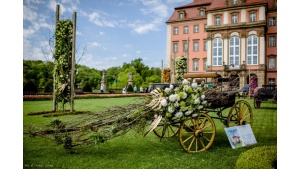 Chryzantema królową polskiej wiosny na Festiwalu Kwiatów i Sztuki w Zamku Książ