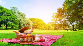 Wakacyjny piknik – jak zorganizować idealne spotkanie z najbliższymi?