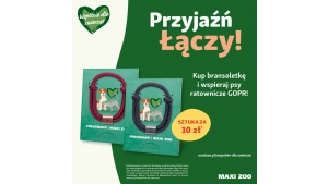 „Przyjaźń Łączy – Wspólnie dla Zwierząt” – akcja charytatywna wspierająca psy