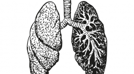 Czy da się jeszcze uratować nasze płuca? Biuro prasowe