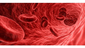 Światowy Dzień Raka Krwi – co warto o nim wiedzieć? Biuro prasowe
