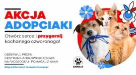 CH Osowa ponownie wspiera adopcję zwierzaków w ramach Akcji Adopciaki