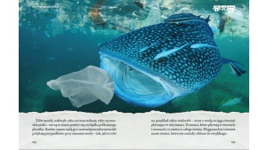 Minęło ponad 150 lat od wynalezienia plastiku! Świętujemy?