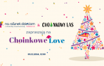 Choinkowe LOVE – Magia świąt w Przylądku Nadziei