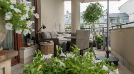 Kwarantanna w bloku? Poznaj 4 sposoby na ogród na swoim balkonie!