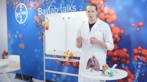 Warsztaty Baylab Polska w nowej odsłonie