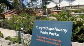 Zielona Szkoła Wola Parku w pierwszy weekend września