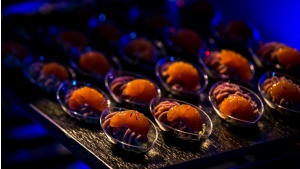 Deli Catering wsparło kulinarnie Sylwester z Polsatem Biuro prasowe