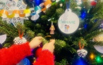 Spełnijmy marzenia podopiecznych fundacji „Gryfne Bajtle!