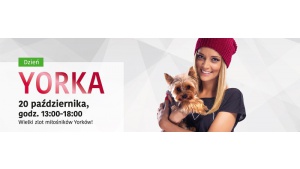 „Dzień Yorka” w Zielonych Arkadach