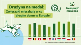 Zwycięska drużyna w co drugim domu nie tylko na Euro